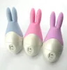 10 hastigheter Jump Egg Wireless Vibrating Egg Bullet Vibrator Sex Toys6070815