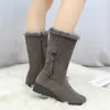 Boots Comfort Design Plush Warm Long Snow For Women Pointed Toe Mid Heel Botas Altas Slip-On Bottines Causal Lady Winter Shoes