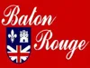 USA Iana Baton Rouge Stadtflagge 3 Fuß x 5 Fuß Polyester-Banner, fliegend, 150 x 90 cm, individuelle Flagge für den Außenbereich 8173372