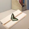 Ramar utställningsbräda fjäril vingar träverktyg prov metall fjärilar spridning