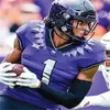 Футбольные майки TCU Horned Frogs NCAA College 15 Grant Tisdale Мужские цельносшитые майки