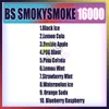 Original BS SMOKYSMOKE 16000 16K Puff 16000 16K wiederaufladbare E-Zigaretten Mesh Coil Einweg-Vape-Stift mit 650-mAh-Akku 36 ml 18 * 2 ml VS Breze Stiik