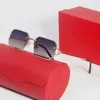 Gafas de sol rosadas para mujer Gafas de diseñador para hombre Moda de gran tamaño Retro Vintage 41 mm Lunettes sin marco Mujer Gafas polarizadas Carti Metal2