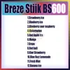 Oryginalny Breeze STIIK BS600 Puff 600 TPD Dostosowywana krystaliczna skorupa E papierosy 2% Pen z cewki siatki z baterią 500 mAh 2 ml vs BS6500 7500 8500