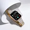 Accessoires Diamond -Riemen für Apple Watch Band 44 mm 40 mm FRAN39K Metallarmband für IWatch Serie 6 SE 5 4 3 2 42 mm 38 mm Frauen Armband Armband