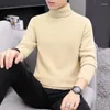 Men's Sweaters 2024 Autumn Men Imitation Mink Velvet Turtleneck Sweater Knitted Pullover Winter Arrival Fashion Jumepr Man Thick