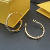 Dangle Earrings Fashion Designer Classic Crystal 18K Gold Plating Big Small Circle Woman High Quality Jewelry Trend