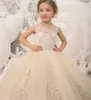 Girl Dresses Flower Dress For Wedding Tulle Puffy Applique Sleeveless Lace Floor Length Child First Eucharistic Birthday Party