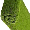 Tapis mural vert décoratif avec simulation de fleurs, mousse de gazon, pelouse artificielle, Micro paysage, fausses plantes, décor en coton, scène