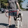 Collari per cani AiruiDog Guinzaglio lungo in nylon estensibile Resistente e resistente, doppia impugnatura