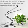 Promoção Crescer Luzes!USB LED Luz interna 40W espectro completo Phyto lâmpadas luz solar branca para plantas casa hidroponia suculenta bo