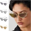 선글라스 고양이 눈의 태양 안경 가벼운 고급 묘지 항 -UV 안경 다이아몬드 인레이 안경 올로이 프레임 ornamenta