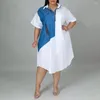 Robe imprimée grande taille pour femmes, manches longues, simple boutonnage, ample, droite, longueur aux genoux, mode tenue décontractée, été