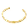 سوار Bangle Gold Gold Plate Bamboo للنساء الفتيات Hiphop الورود الفولاذ المقاوم للصدأ أساور الكفة المفتوحة مجوهرات