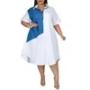 Robe imprimée grande taille pour femmes, manches longues, simple boutonnage, ample, droite, longueur aux genoux, mode tenue décontractée, été