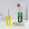 Vasi Vaso per fiori in stile nordico dai colori vivaci Contenitore floreale acrilico traslucido Decorazioni per la casa