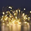 Cordes étanche USB/batterie LED chaîne lumière 5M 10M fil de cuivre fée guirlande lampe pour noël fête de mariage éclairage de vacances