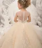 Girl Dresses Flower Dress For Wedding Tulle Puffy Applique Sleeveless Lace Floor Length Child First Eucharistic Birthday Party