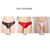 Underbyxor Sexiga herrar Mesh See Through Briefs Pouch Low Rise Lingerie Underwear Elasticity Slips Swime Wachwear