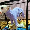 Hundebekleidung Haustier schwarz weiß gestreift Kleidung italienischer Windhund Frühling Sommer Kleidung für Hunde Shirt Paar Katze Welpe