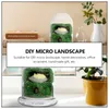 Vazolar Moss Diy Cam Terrarium Şişe Peyzaj Dekorasyonu Ekolojik Tutucu Kapaklı Gıda Kapları