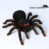 Электронное животное, домашнее животное, дистанционное управление, тарантул, блеск глаз, умный черный робот-паук, Хэллоуин, радиоуправляемый трюк, страшная игрушка, подарок для ребенка 231229