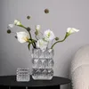 Vase Home Red Luxury Geometry Hydroponics透明ガラス小さな花瓶リビングルームソフトデコレーションフラワーオーナメント230701