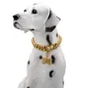 Collier de chaîne pour chien en or, collier 18 carats avec boucle sécurisée, colliers en métal en acier inoxydable, lien cubain résistant à la mastication pour chiens de taille moyenne