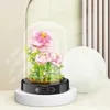 Blocos de construção de flores Blocos criativos de flor de cacto Blocos de planta Brinquedos para decoração de mesa Brinquedos para presentes de meninas R230701