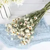 Dried Flowers More Than Flower Heads/Bundle Real Natural White Cineraria Bouquet Dry Roses Arrangement Decoration Home