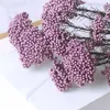 Fiori secchi Mini Fiore di miglio naturale fresco conservato Eternal Dry Ramillete Flores Forever Decorazione di nozze materiale fai da te