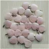 Charms Natural Stone 20Mm Heart Love Tigers Eye Rose Quartz Opal Pendant Gem Agates Fit Earrings Necklace Making Assorted Drop Deliv Dhnz7