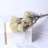 Fiori secchi Mini Fiore di miglio naturale fresco conservato Eternal Dry Ramillete Flores Forever Decorazione di nozze materiale fai da te