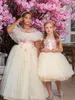 Beige Puffy Flower Girls Dresses Pink Spetsapplikationer Juvel Neck Kids Communion Dress Ruffles Tulle Child Birthday Party Gown