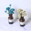 Fiori secchi Mini Fiore di miglio naturale fresco conservato Eternal Dry Ramillete Flores Forever Decorazione di nozze materiale fai da te