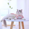 Vêtements Hoopet Navy Style Cuate Cat Cat Girl Small Dog Jirt Pet Vêtements Summer Spring Cat Robe Puppy Vêtements pour chat Cat Catty Puppy