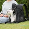 Dog Car Seat Covers Portable Cat Cage Four Season Travel Bag Breath-able Mesh Backpack Shoulder Kitten Sling