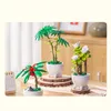 Block Bambusa krukväxter Succulents Bonsai Tree Gardens Romantiska byggstenar Modell Kidset Set Kits Toys R230701