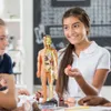 3D Bulmacalar Eğitici Oyuncaklar Vücut Bulmaca STEM İnsan Modeli Çocuklar için 8 230630