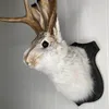 Filmy Antlers Rabbit Głowa Statua Domowa dekoracja 3D Streszczenie rzeźby ścienne Wiszę WEKUT ZWOSZY SOURN SOUNT SAIL MALUR MURAT Rzemiosła
