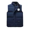 Piumino Gilet Cappotto Uomo Piuma d'oca canadese Materiale Tendenza moda Taglia xxl Prezzo all'ingrosso 11