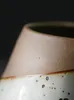 Quadro nórdico simples ferro forjado conjunto de flores de grés casa suculenta vaso de flores criativo cerâmica sala estar decoração para casa vaso