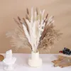 Dried Flowers Dry Grass Decor 100Pcs Natural Pampa Reed Bouquet for Wedding Home House Table Party Decorations