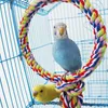 Andra fågelförsörjningsleksaker papegoja enkelring rep svängande färgglad bomullsabbot tugga leksak för papegojor Budgie Parakeet 230701