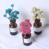 Fiori secchi Mini Fiore di miglio naturale fresco conservato Eternal Dry Ramillete Flores Forever Decorazione di nozze materiale fai da te