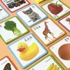 144 Słowa Cognition Cards Kartę Zwierzę/Ruch/Owoc/warzywa Montessori Edukacyjne chińskie angielskie karty flash dla 3-6 dzieci L230518