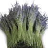 Gedroogde Bloemen 50/100g Lavendel Natuurlijk voor Premium Home Decor Geur Esthetische Valentijnsdag Bruiloft Decoratie