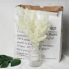 Gedroogde Bloemen Natuurlijke Bloem Vers Geconserveerde Dennennaalden Tak Droog Voor Bruiloft Decor Thuis Kamer Decoratie Accessoires