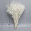 Dried Flowers 120g Real Natural Dry Gypsophile Fresh Forever Babysbreath Preserved For DIY Eternal Flower Material Wedding Plant