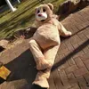 Mascotte kostuum dansende beer pluche teddybeer man met popkostuum grappig kostuum